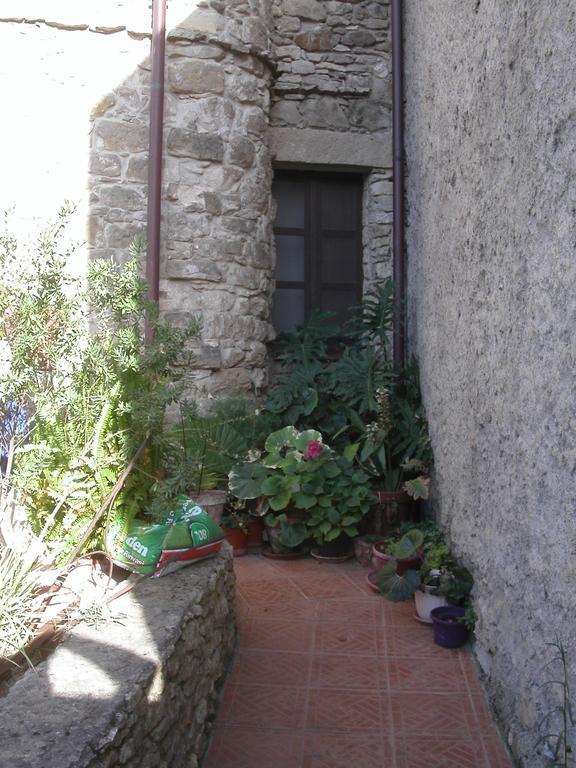 Locanda La Rosa Pauli Arbarei Exteriér fotografie